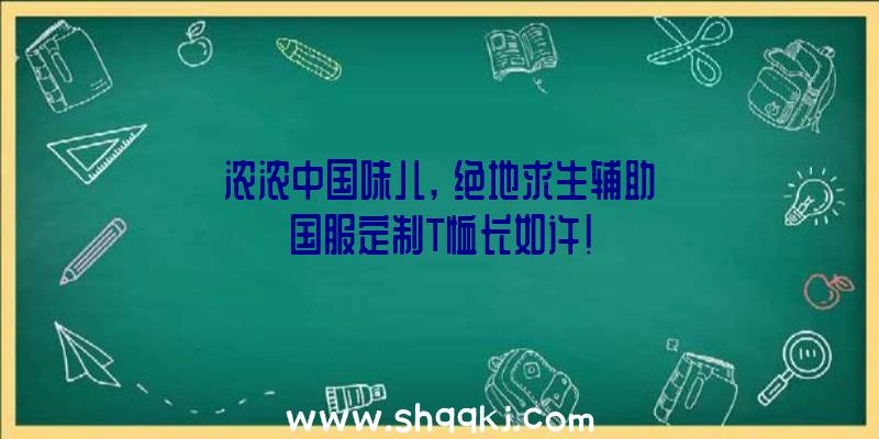 浓浓中国味儿,《绝地求生辅助》国服定制T恤长如许!