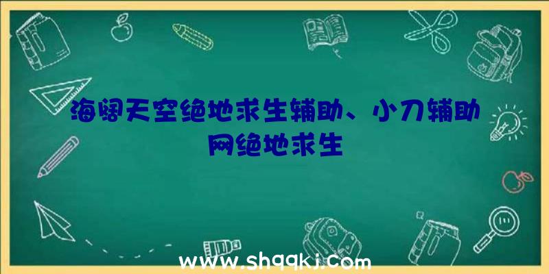 海阔天空绝地求生辅助、小刀辅助网绝地求生