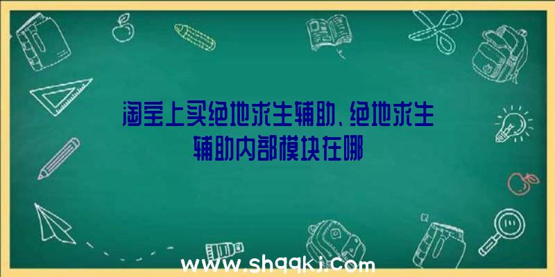 淘宝上买绝地求生辅助、绝地求生辅助内部模块在哪