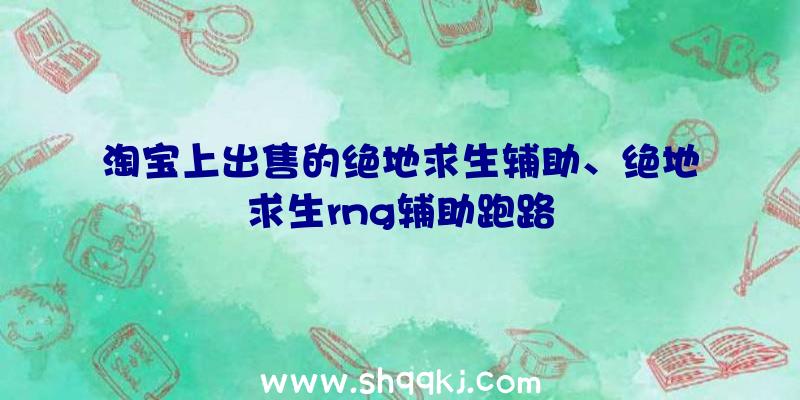 淘宝上出售的绝地求生辅助、绝地求生rng辅助跑路