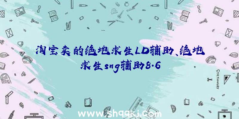 淘宝卖的绝地求生LD辅助、绝地求生sng辅助8.6