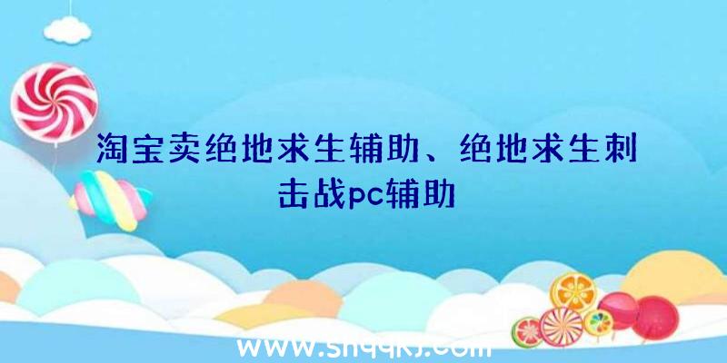 淘宝卖绝地求生辅助、绝地求生刺击战pc辅助