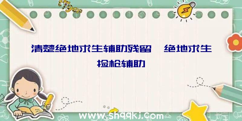 清楚绝地求生辅助残留、绝地求生捡枪辅助