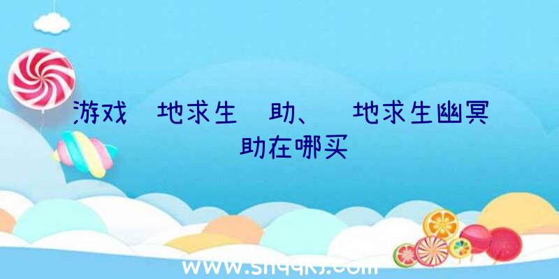 游戏绝地求生辅助、绝地求生幽冥辅助在哪买