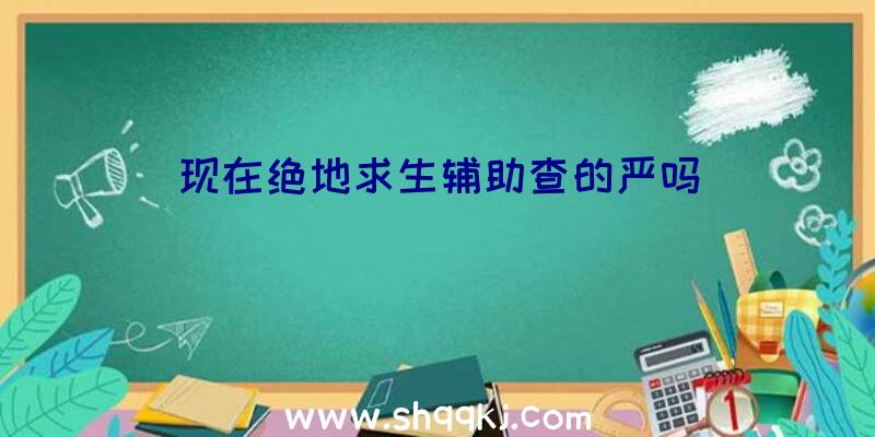 现在绝地求生辅助查的严吗