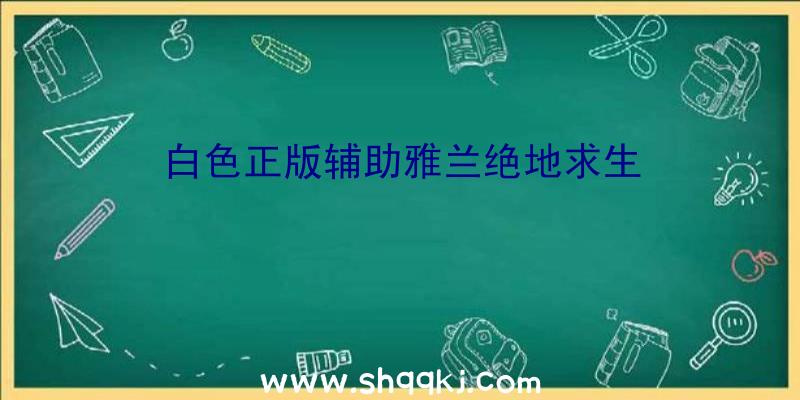 白色正版辅助雅兰绝地求生