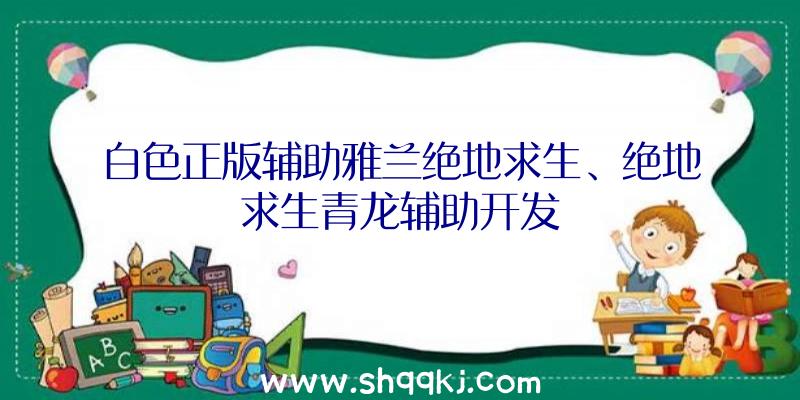 白色正版辅助雅兰绝地求生、绝地求生青龙辅助开发