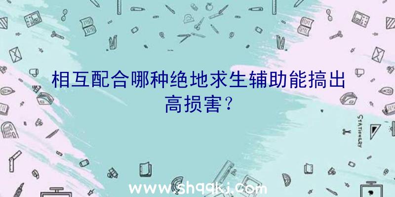 相互配合哪种绝地求生辅助能搞出高损害？