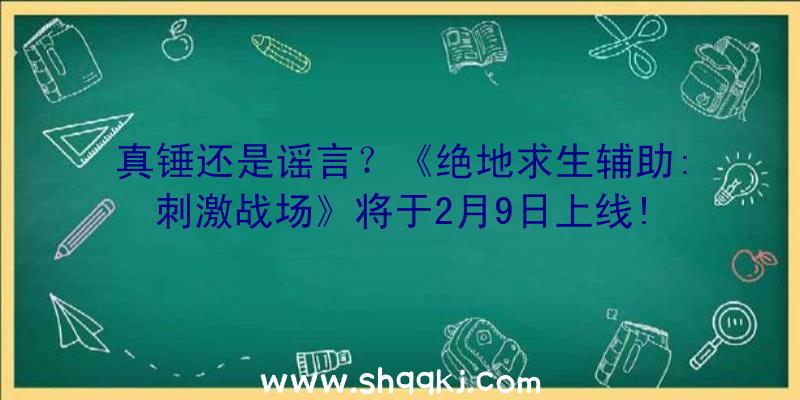 真锤还是谣言？《绝地求生辅助:刺激战场》将于2月9日上线!