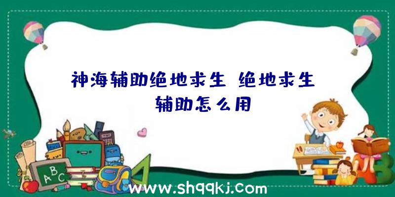 神海辅助绝地求生、绝地求生apk辅助怎么用