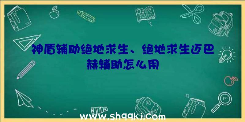 神盾辅助绝地求生、绝地求生迈巴赫辅助怎么用