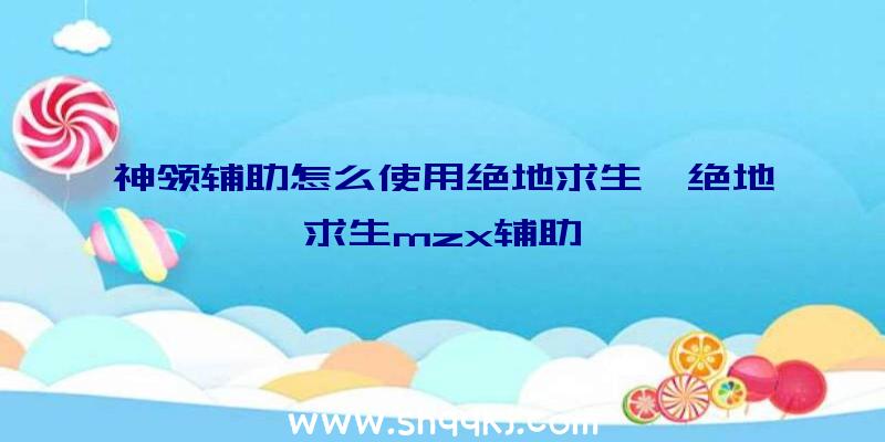 神领辅助怎么使用绝地求生、绝地求生mzx辅助