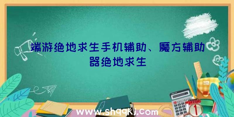 端游绝地求生手机辅助、魔方辅助器绝地求生