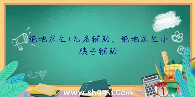 绝地求生+无名辅助、绝地求生小胰子辅助