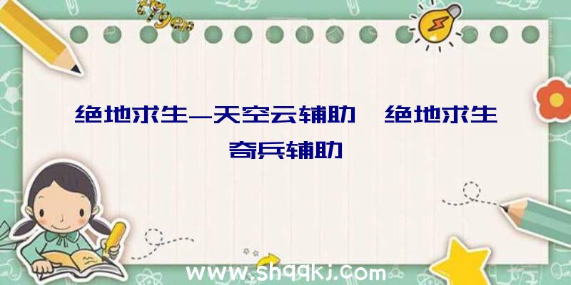 绝地求生-天空云辅助、绝地求生奇兵辅助