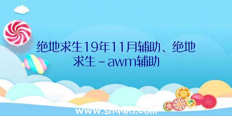 绝地求生19年11月辅助、绝地求生-awm辅助