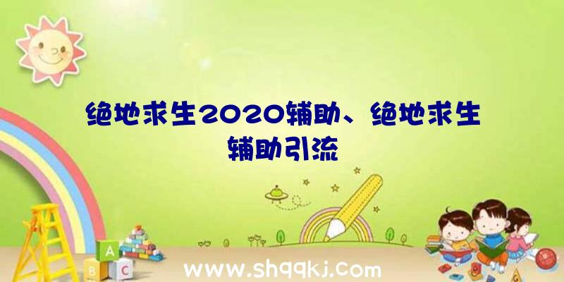 绝地求生2020辅助、绝地求生辅助引流