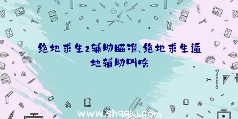 绝地求生2辅助瞄准、绝地求生遁地辅助叫啥