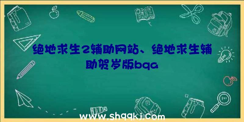 绝地求生2辅助网站、绝地求生辅助贺岁版bqa