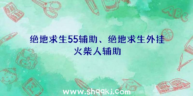 绝地求生55辅助、绝地求生外挂火柴人辅助