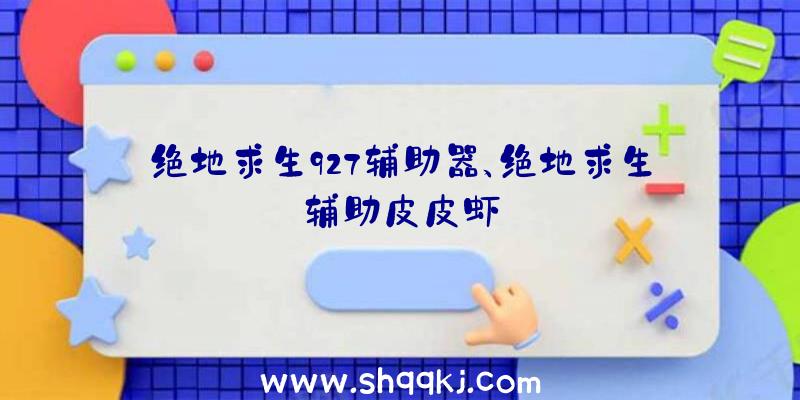 绝地求生927辅助器、绝地求生辅助皮皮虾