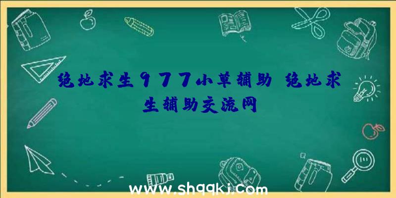 绝地求生977小草辅助、绝地求生辅助交流网