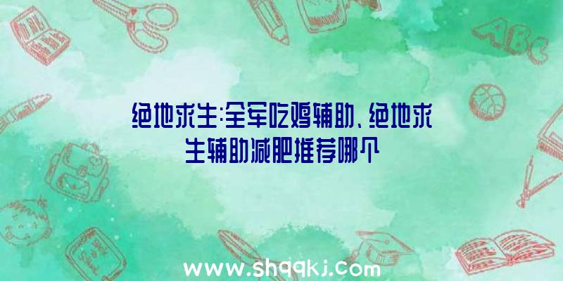 绝地求生:全军吃鸡辅助、绝地求生辅助减肥推荐哪个