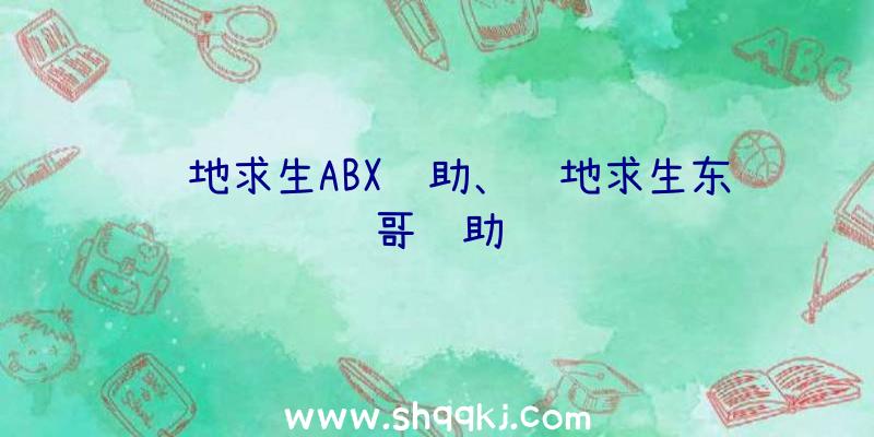 绝地求生ABX辅助、绝地求生东哥辅助