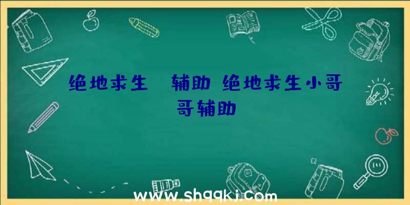 绝地求生DX辅助、绝地求生小哥哥辅助