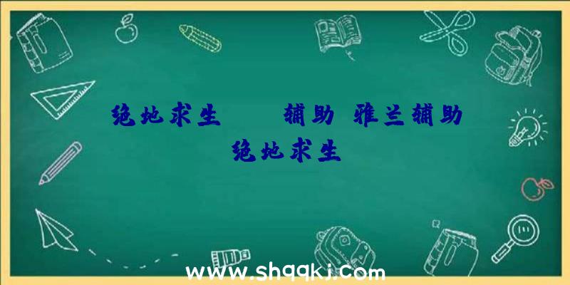 绝地求生HOXR辅助、雅兰辅助绝地求生