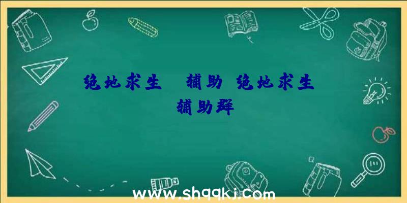 绝地求生JD辅助、绝地求生yy辅助群