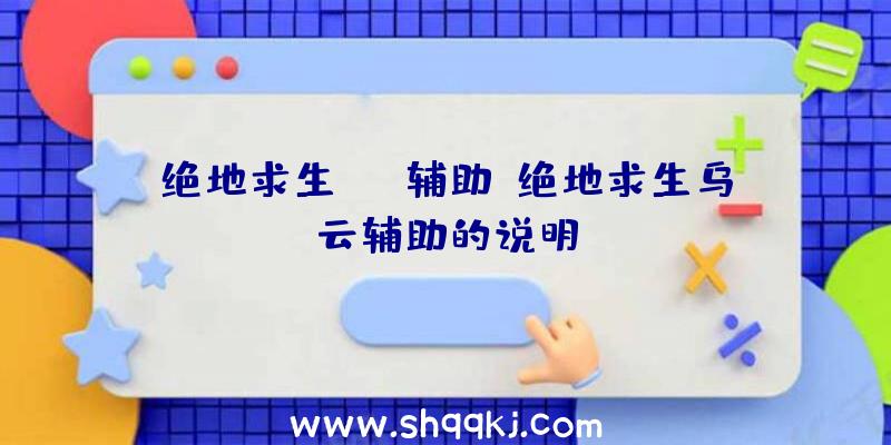 绝地求生OVR辅助、绝地求生乌云辅助的说明