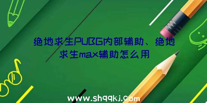 绝地求生PUBG内部辅助、绝地求生max辅助怎么用