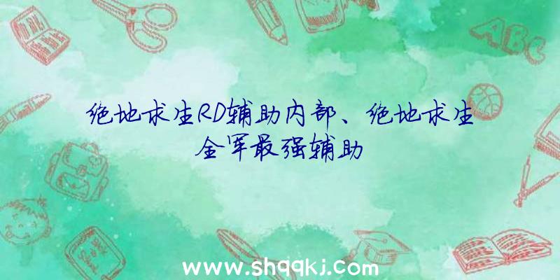 绝地求生RD辅助内部、绝地求生全军最强辅助
