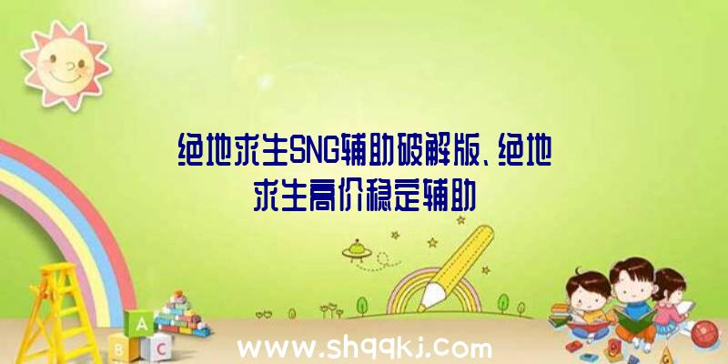 绝地求生SNG辅助破解版、绝地求生高价稳定辅助