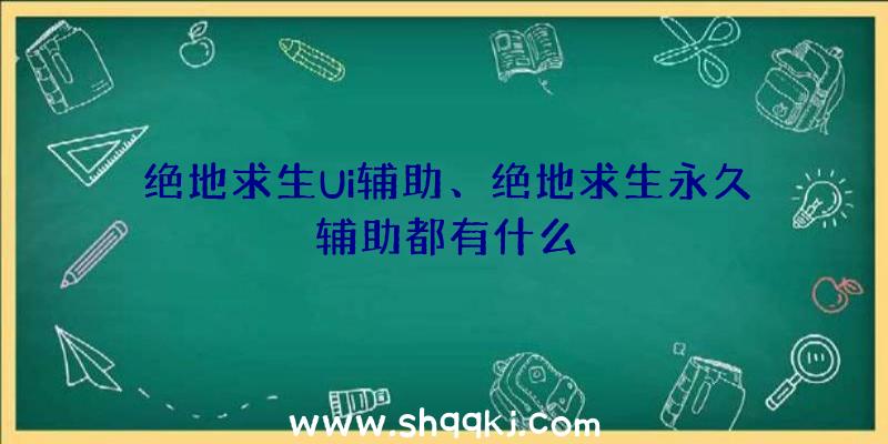 绝地求生Ui辅助、绝地求生永久辅助都有什么