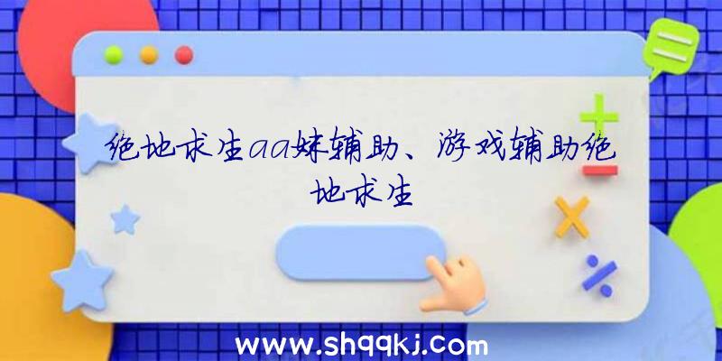 绝地求生aa妹辅助、游戏辅助绝地求生