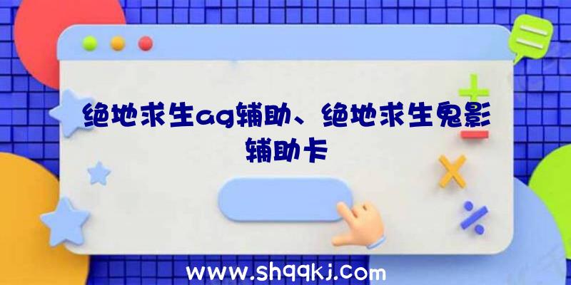 绝地求生ag辅助、绝地求生鬼影辅助卡