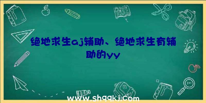 绝地求生aj辅助、绝地求生有辅助的yy