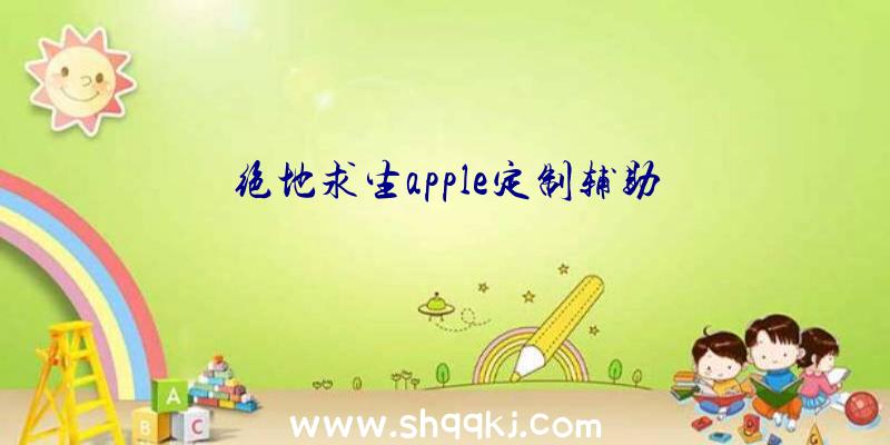 绝地求生apple定制辅助