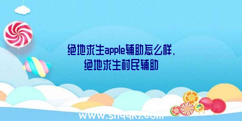 绝地求生apple辅助怎么样、绝地求生村民辅助