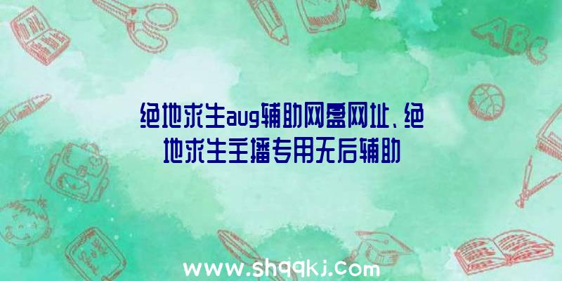 绝地求生aug辅助网盘网址、绝地求生主播专用无后辅助