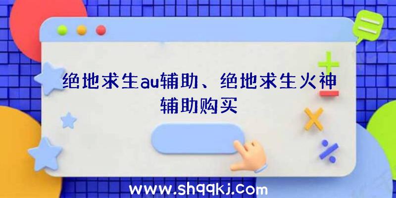 绝地求生au辅助、绝地求生火神辅助购买