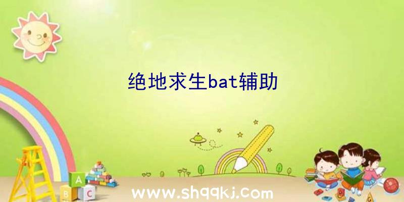 绝地求生bat辅助