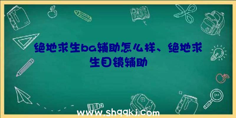 绝地求生ba辅助怎么样、绝地求生目镜辅助