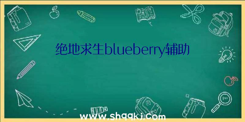 绝地求生blueberry辅助