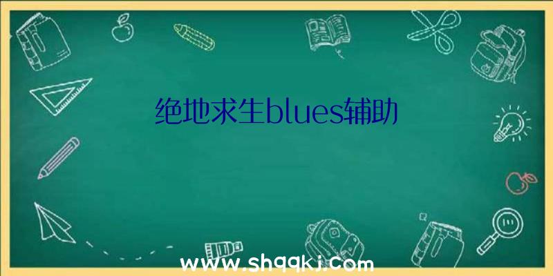 绝地求生blues辅助