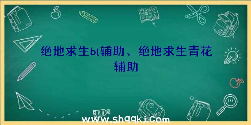 绝地求生bl辅助、绝地求生青花辅助