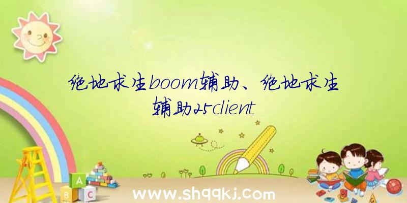 绝地求生boom辅助、绝地求生辅助25client