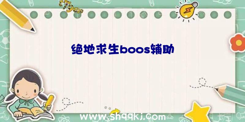 绝地求生boos辅助